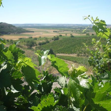 La Cantamora Hotel Rural Pesquera De Duero 외부 사진
